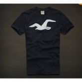 Camiseta Hollister Masculina