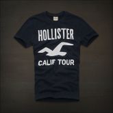 Camiseta Hollister Masculina
