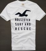 Camiseta Hollister Masculina