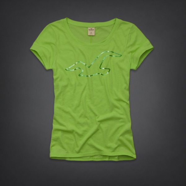 Camiseta Hollister Feminina