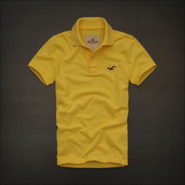 Blusa Polo Hollister Masculina