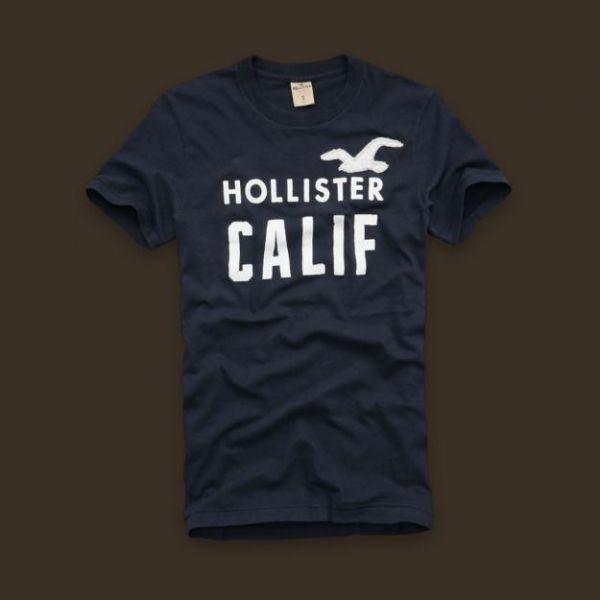 Camiseta Hollister Masculina