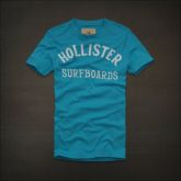 Camiseta Hollister Masculina