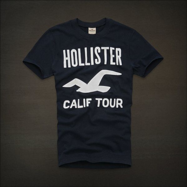 Camiseta Hollister Masculina