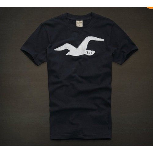 Camiseta Hollister Masculina