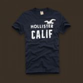 Camiseta Hollister Masculina