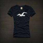 Camiseta Hollister Feminina