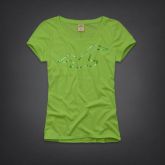 Camiseta Hollister Feminina
